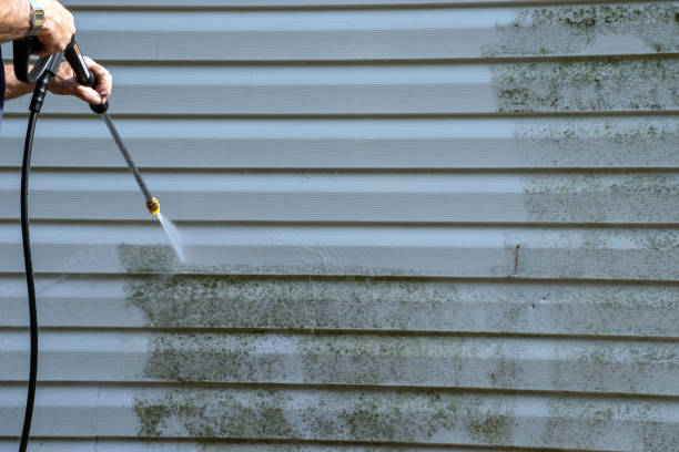 Best Shed Removal  in Donna, TX